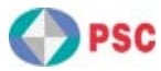 Manufacture Logo for Powerchip Semiconductor